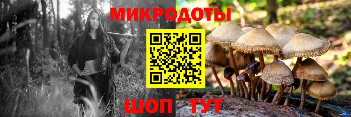 Псилоцибиновые грибы ЛСД  Вход с VPN  Норильск 